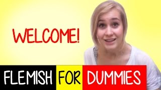 Flemish For Dummies a Free Dutch Speed Course [upl. by Aneehsak]