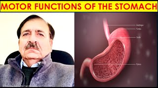 MOTOR FUNCTIONS OF THE STOMACH Lectures by Dr Alamzeb [upl. by Michail390]