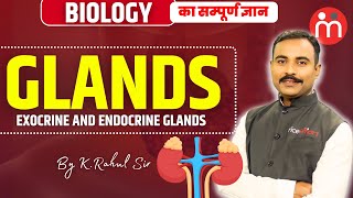 जानिए Glands क्या होती हैं  Exocrine and Endocrine Glands  Biology By KRahul Sir glands [upl. by Squire]