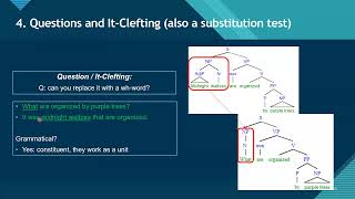 How to Do Constituent and Complement Tests [upl. by Maure]