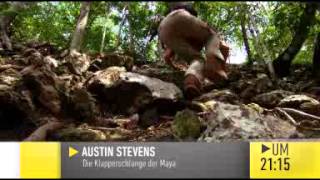 TVTipp am Mittwoch Austin Stevens  Die Klapperschlange der Maya [upl. by Revorg64]