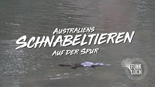 Australiens Schnabeltieren auf der Spur  Funkloch [upl. by Duvall895]