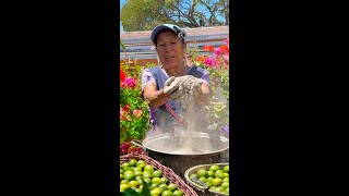 Mayor Floración y Crecimiento para tus cítricos  Abono Potente para tu limonero y FRUTALES EN CASA [upl. by Nodnrb]