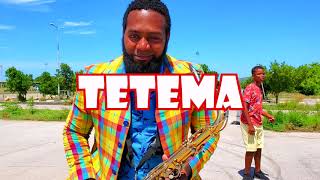 Tetema  Nelson Braveheart Sax Cover  Rayvanny amp Daimond Platnumz [upl. by Ydak]