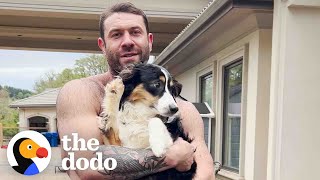 Terrified Aussie Puppy Melts Into Her New Dads Arms  The Dodo [upl. by Anagrom447]