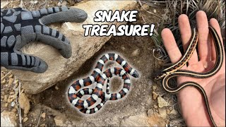 CRAZY Rock Flipping for Beautiful Snakes on the Kansas Prairie [upl. by Jarrow]