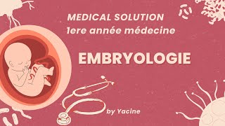 Embryologie part 1  Introduction [upl. by Roselane]