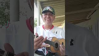 luar do sertãono cavaquinho uma parte [upl. by Vidda70]