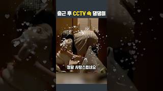 ”출근 후 CCTV 속 댕댕이“ 집사를 기다리는 강아지 [upl. by Nore]