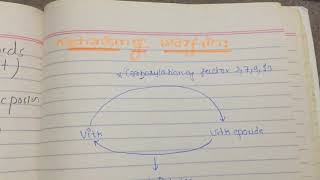 mechanism of action of warfarin pharmacology [upl. by Jewett]