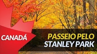 Videocast Passeio pelo Stanley Park em Vancouver [upl. by Riocard]