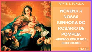 Novena à Nossa Senhora do Rosário de Pompéia  Versão Resumida  Súplica  Dia 03 [upl. by Ebert]