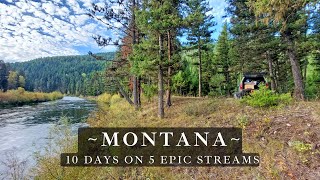 Fly Fishing Montana  10 days of truck camping  5 epic streams [upl. by Leohcin826]