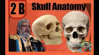 002 B Dr El Kafrawy Anatomy skull anatomy [upl. by Sartin]