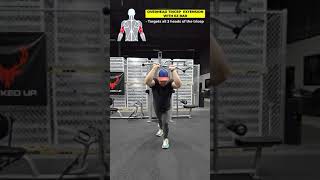 Targeting 3 Heads in Tricep Workout [upl. by Conny]