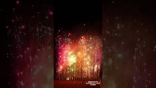 孔雀开屏烟花 烟花 fireworks firecracker [upl. by Belamy]