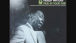 Muddy Waters  Mud In Your Ear Full Album [upl. by Eneleh]