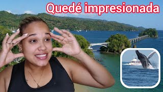 Increíble experiencia en Samana No imaginé esto de República Dominicana Cubana reacciona [upl. by Hgielrahc]