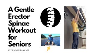 A Gentle Erector Spinae Workout for Seniors [upl. by Ahar]