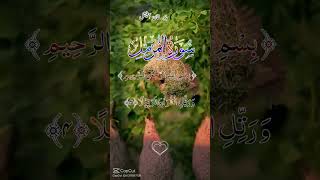 islamicvideo subscribemychannel [upl. by Amairam122]