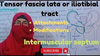 Fascia lata I modification of Fascia lata  clinical intermuscular septum ayesha medical education [upl. by Crim]