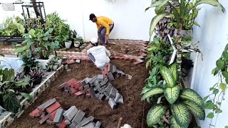 Menata Tanaman Hias Di Belakang Rumah [upl. by Odetta]