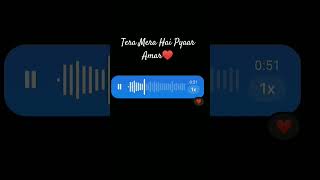 Tera mera hai pyaar amar Ishq Murshid viralvideo businessidea how guitarcover hottrend class [upl. by Aguayo]