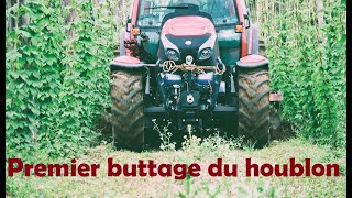 Premier buttage du houblon  2024  Lintrac 100 [upl. by Ahseiuqal]