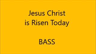 Jesus Christ is Risen Today BASS [upl. by Braunstein]