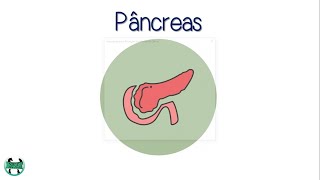 Aula 5  Fisiologia endócrina pâncreas  insulina Glucagon e Somatostatina  Humana e Veterinária [upl. by Annodam]