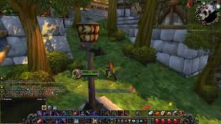 Stormwind Herbalism Trainer  WoW Classic [upl. by Dunham]