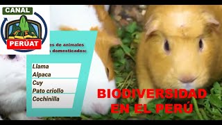 Analizamos información sobre la biodiversidad en el Perú y su vínculo con la alimentación saludable [upl. by Tobin]