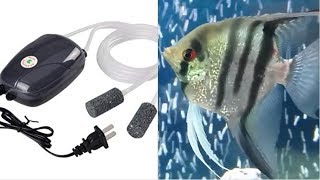 Aquarium air pump complete guide  Do I need aquarium air pump how to quiet aquarium air pump [upl. by Dnalsor]