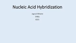 Nucleic Acid Hybridization [upl. by Brietta]