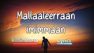 Kadir Martu quot Mallaaleerraan Imimmaan quot Oromo Music with Lyrics  Official Video [upl. by Nedlog269]