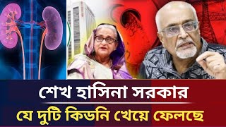 শেখ হাসিনা সরকার দেশের যে দুটি কিডনি খেয়ে ফেলছেNayeem elli reaction [upl. by Schilt]