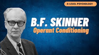 Behaviourist Approach  BF Skinner  Operant Conditioning  AQA Psychology [upl. by Lody]