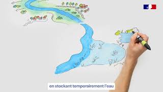 4 TempO animation  Relever les enjeux environnementaux avec les Solutions fondées sur la Nature [upl. by Elfrieda]