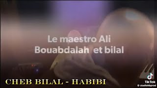 Cheb bilal 2024 الشاب بلال habibi حبيبي قنبلة الموسم [upl. by Serolod]