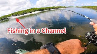 Fishing Channels amp Mangroves in the Keys Catch amp Cook [upl. by Assiluj389]