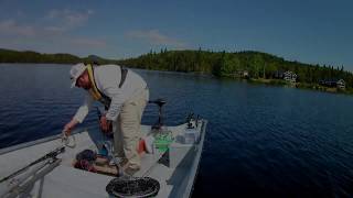 What a fishing trip at the Pourvoirie lAuberge la Barrière [upl. by Marva720]