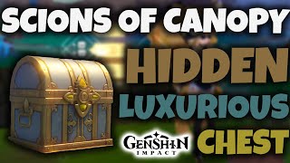 I Found a SECRET Luxurious Chest in Scions of Canopy  Genshin Impact [upl. by Ybbil786]