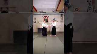 4 directions of SHIHONAGE with bonus variant  Aikido Virtual Dojo [upl. by Lednic719]