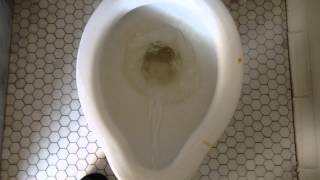 Bathroom Tour Vintage Welling Toilet Goergen athletic center U of R [upl. by Kinelski]