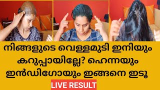 Natural Hair Dye Correct Procedure With Proof No Side Effect No Chemical മലയാളം Kavis Lifestyle [upl. by Waverley]