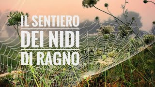 Il sentiero dei nidi di ragno  Italo Calvino [upl. by Aicenra]