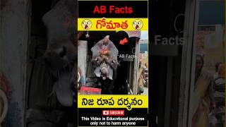 🙏గోమాత🙏 Rare two headed cow in india telugufacts cow god gomata shorts youtubeshorts abfacts [upl. by Won]