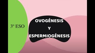 OVOGÉNESIS Y ESPERMIOGÉNESIS 3º ESO [upl. by Mill]