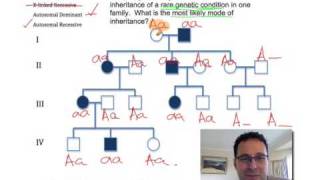 Pedigree Analysis 2 How to solve a genetic pedigree Example No 2 [upl. by Ailel]