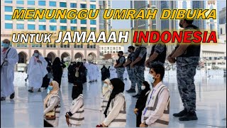 KAPAN UMRAH UNTUK JAMAAH INDONESIA DIBUKA [upl. by Akeemahs]